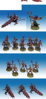 Dark Eldar Army by GretchinDeathKommand