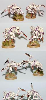 Tyranid Genestealers / Genokrady by gimiak