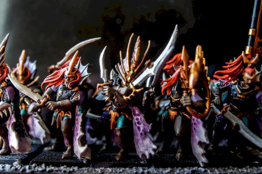 Dark Elf Corsairs by pie_masters