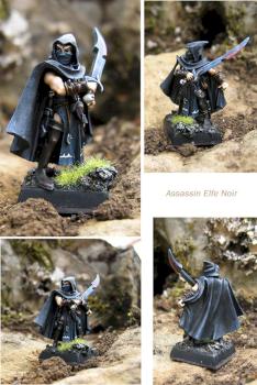 Assassin Elfe Noir by MutantX