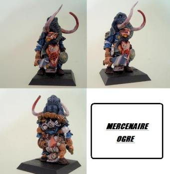 OGRE MERCENAIRE by OLIVE95