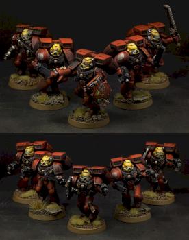 Blood Angels Assault Squad by Picster