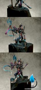 Dark Eldar Succubus by loler