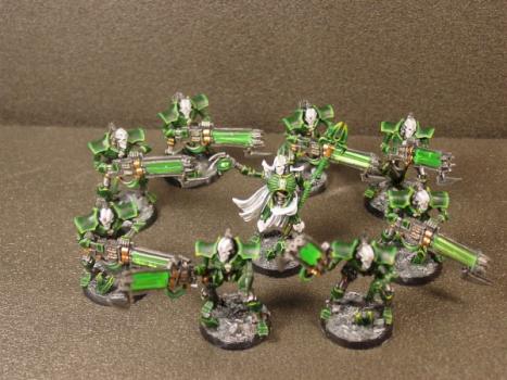 Necron Lord and Immortals by Stephen