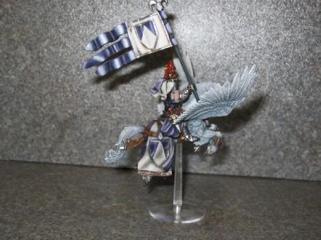 Pegasus Knight Standard Bearer by Propaintjob