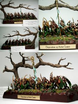 Wood Elf Glade Guard by muhani