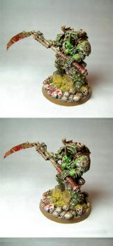 Typhus by Antonius