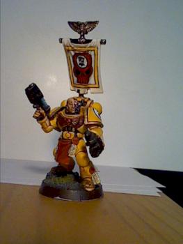 Imperial Fists Veteran Sergeant by BobaHat