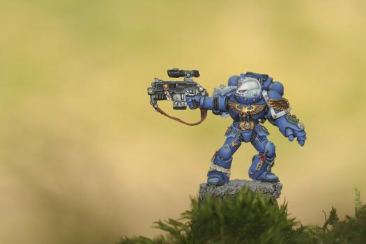 space marine veteran by nemo71