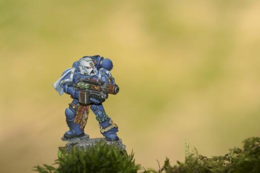 space marine veteran by nemo71