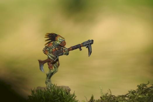 kroot by nemo71