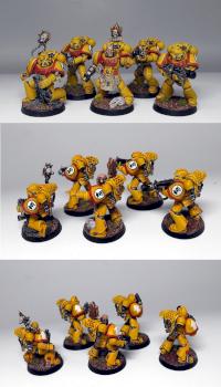 Imperial Fists Combat Squad 1 by Wickedcarrot