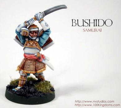 Bushido Samurai by nvstudios