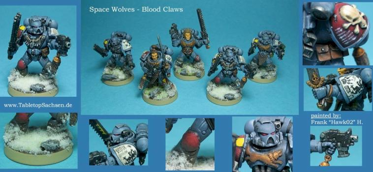 Space Wolves - Blood Claws by Hawk02