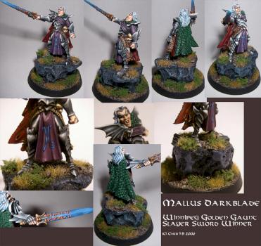 Dark Elf Mallus Darkblade by ve4cib