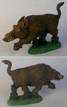 Wild Boar by Greg Ellis