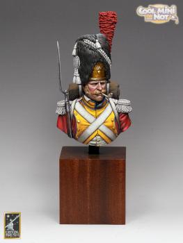 Swiss Guard Grenadier 1810 by Yellow one