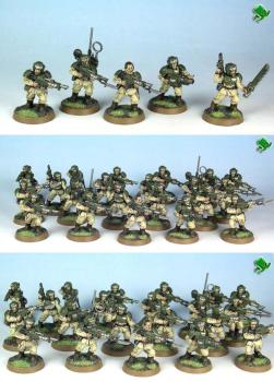 Cadian Shock Troops by hashmallum