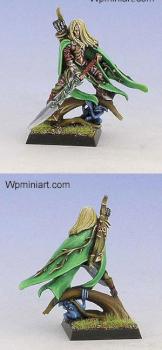 Wood Elves Elf Lord with Great Weapon by funkyyuzzam