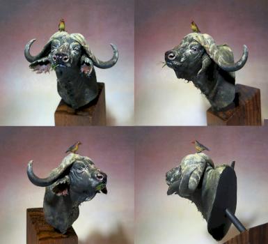 Buffalo bust by bragon