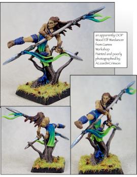 wood elves wardancer oop by ALizardInCrimson