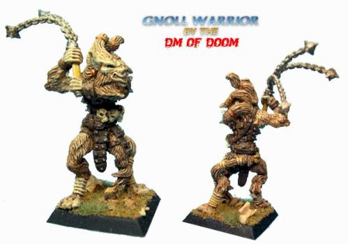 Gnoll Warrior by DM of Doom