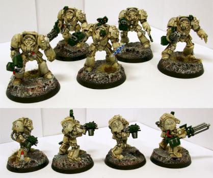 Space Marine Terminators by ghostcrawler