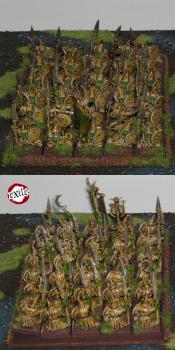 O&G Night Goblins unit by dead