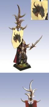 Dark Elf Standard Bearer by raptaparat 2