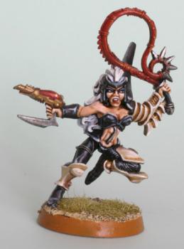 Dark Eldar by Donga