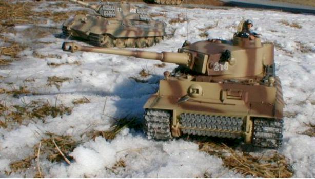 tiger 1 in snow by rmk