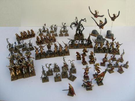 Painted Warhammer Fantasy Wood Elves Army by Demonic_Workshop