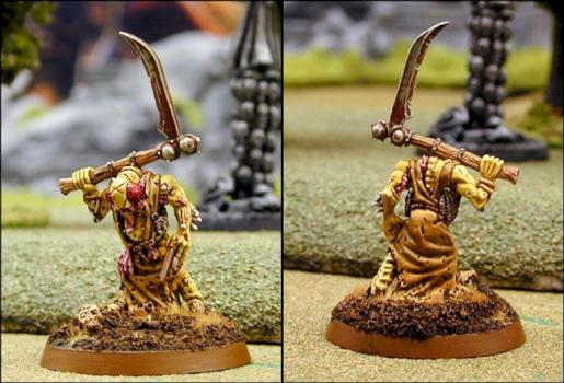 Nurgle Champion  Fly by biggeek