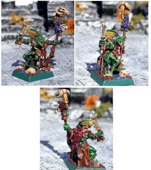 Lizard men Skink Priest by darkrealm miniatures