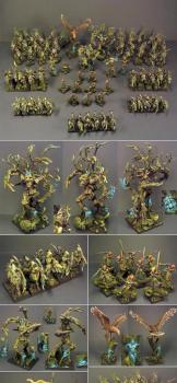 Wood Elf army by nomic