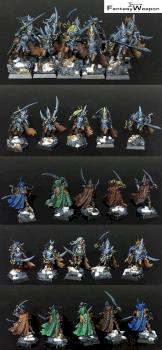 Dark Elves - Corsairs by Fantasy Weapon