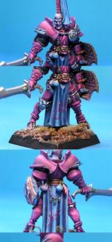 Champion de slaanesh other vue by RODYSUN