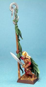 Elf standard bearer by james9487