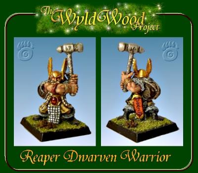 Dwarven Warrior by wintersrainne