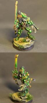 Eldar exarh scorpion by HopeRiver