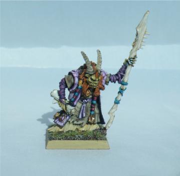 Converted Bray Shaman by Show Case Studio