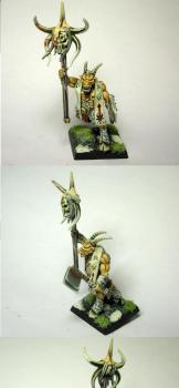 beastman shaman made from gor box better pick by Buyardboss