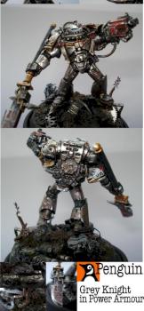 Grey Knight in Power Armour - huge close ups! by Bill