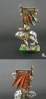 BSB warrior of chaos,nurgle by Coticone Il Grigio