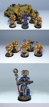 Imperial Fists Combat Squad, Rhino and Librarian by Wickedcarrot