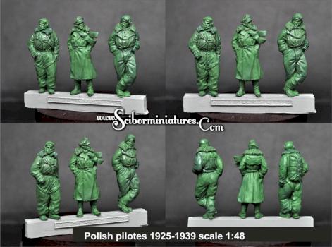 Polish pilots by Scibor