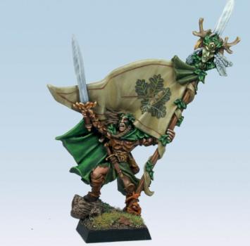 Wood Elf Standard Bearer by krom1415