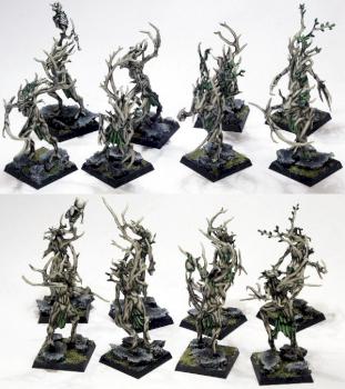 1st unit of Dryads by dead