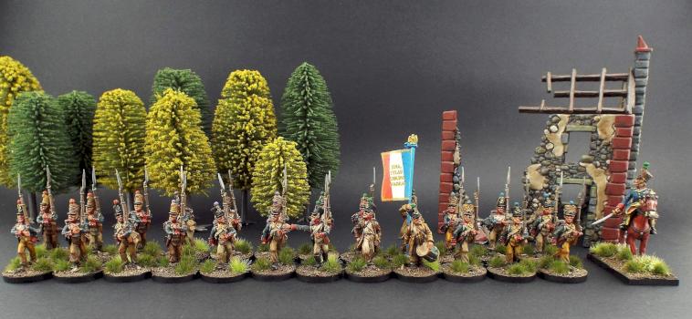 28mm Elite Miniatures ~ French Line Infantry Battalion by avalonindustries2040