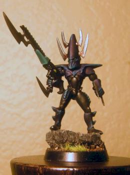 Dark Eldar Warrior by Hamer